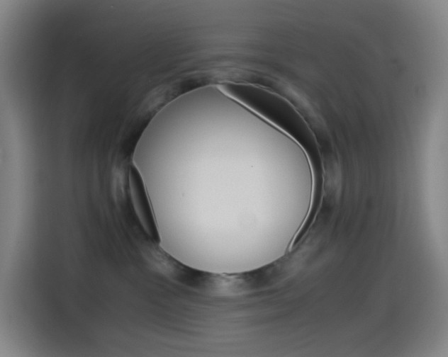 X0000114560333200910191016