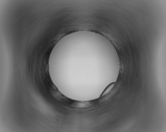 X0000114560334200910191016