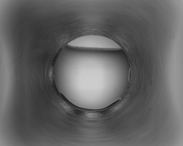 X0000114560336200910191016