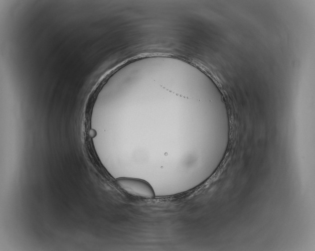 X0000114560338200910191016