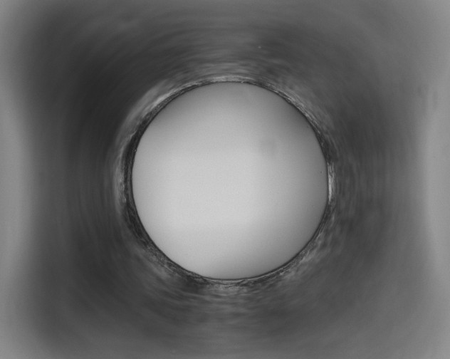 X0000114560339200910191016