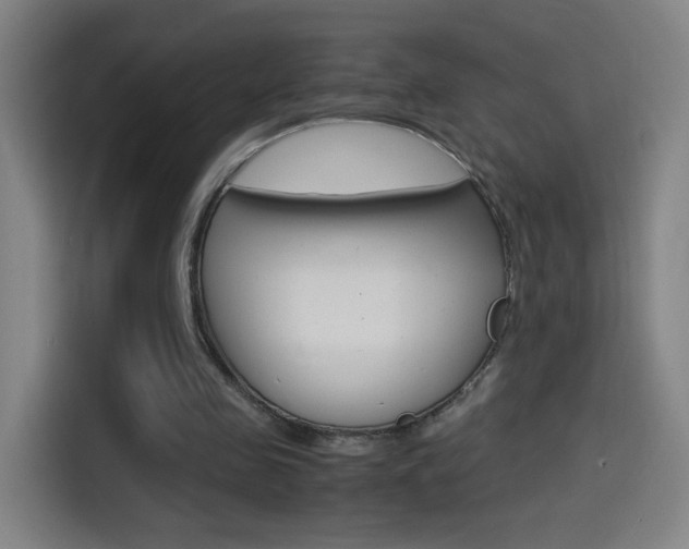 X0000114560341200910191016