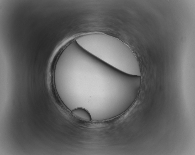 X0000114560342200910191016
