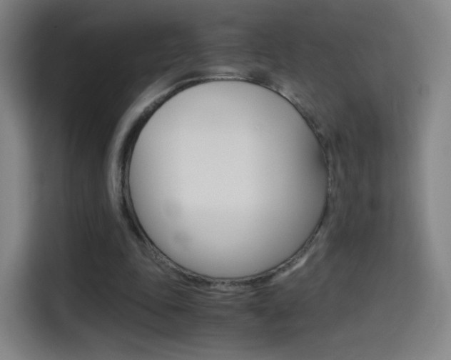 X0000114560343200910191016