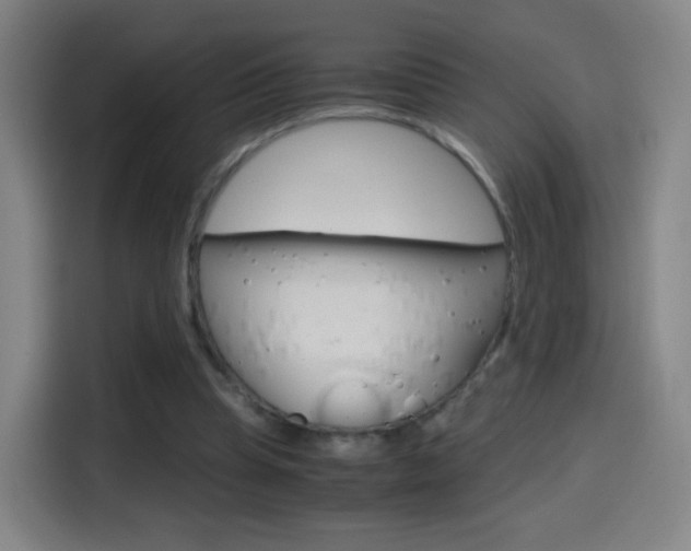 X0000114560345200910191016