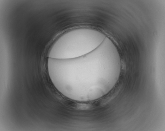X0000114560347200910191016