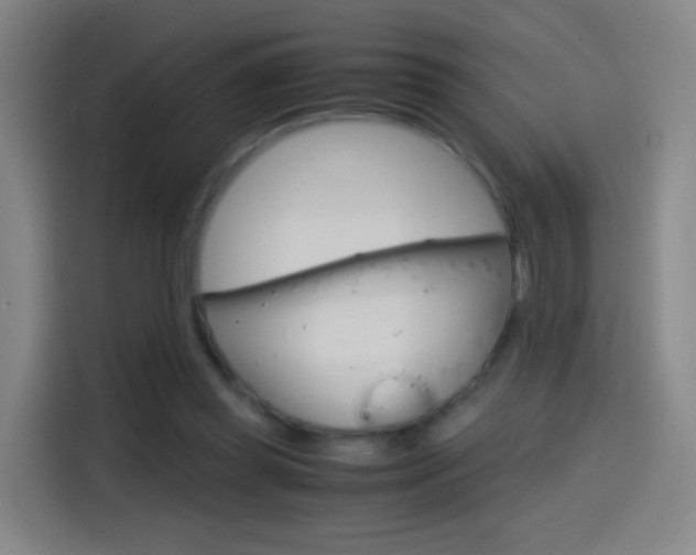 X0000114560349200910191016