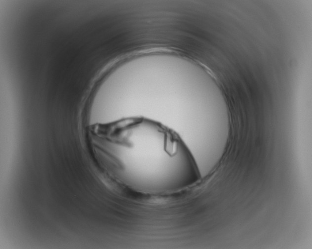 X0000114560350200910191016