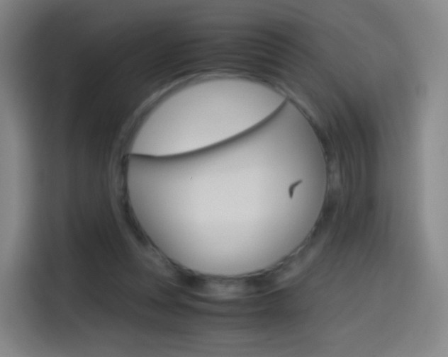 X0000114560351200910191016