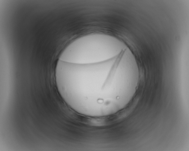 X0000114560359200910191016