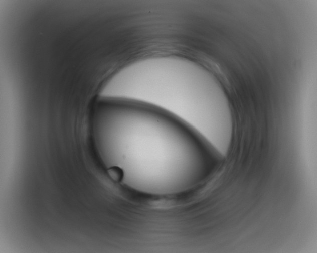 X0000114560362200910191016