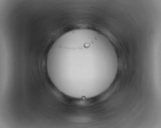 X0000114560365200910191016