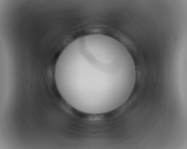 X0000114560373200910191016