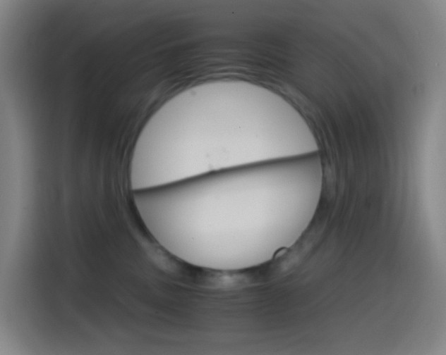 X0000114560379200910191016