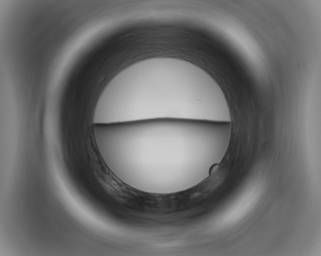 X0000114560383200910191016
