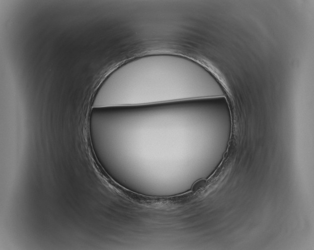X0000114560385200910191015