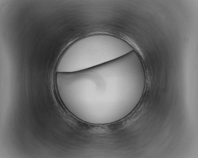 X0000114560386200910191015