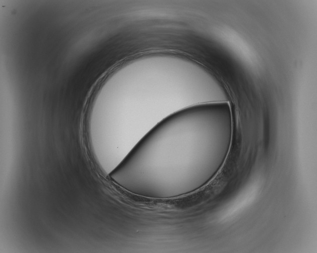 X0000114560387200910191015