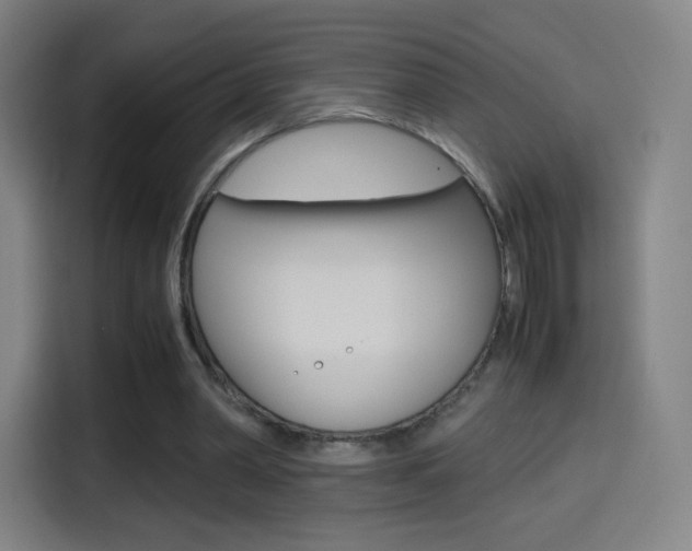 X0000114560390200910191015