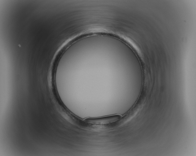 X0000114560391200910191015