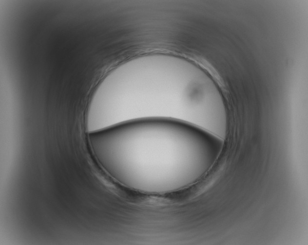 X0000114560393200910191015