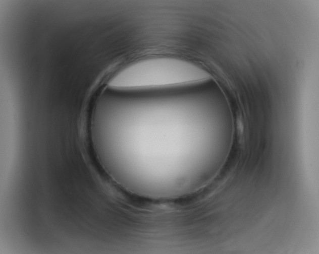X0000114560396200910191015