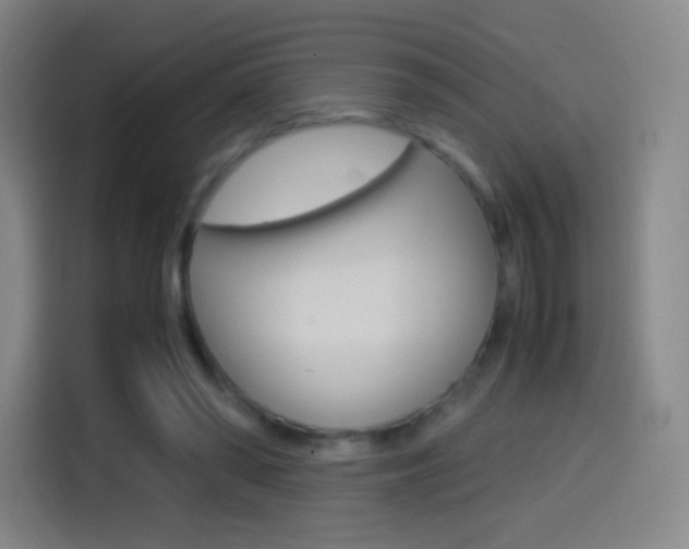 X0000114560398200910191015