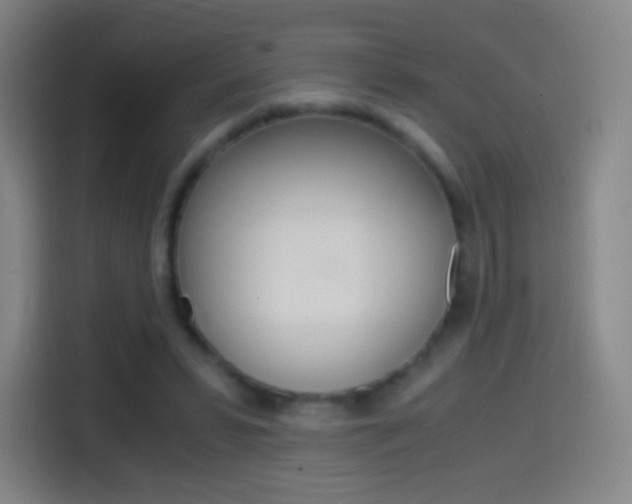X0000114560399200910191015