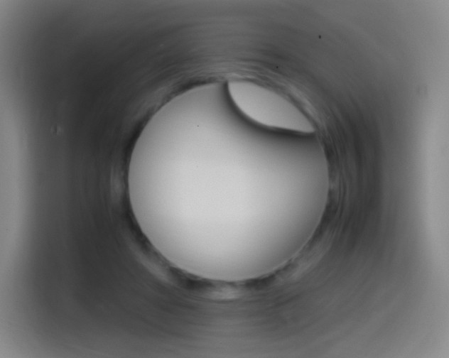 X0000114560402200910191015