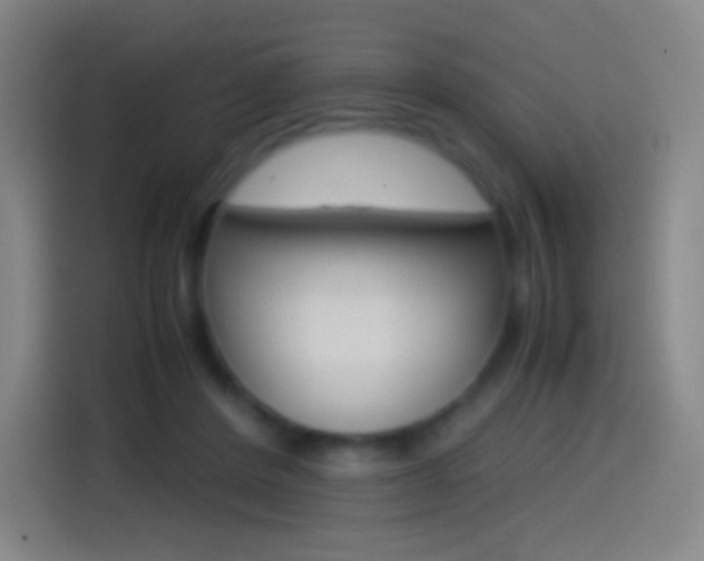 X0000114560408200910191015