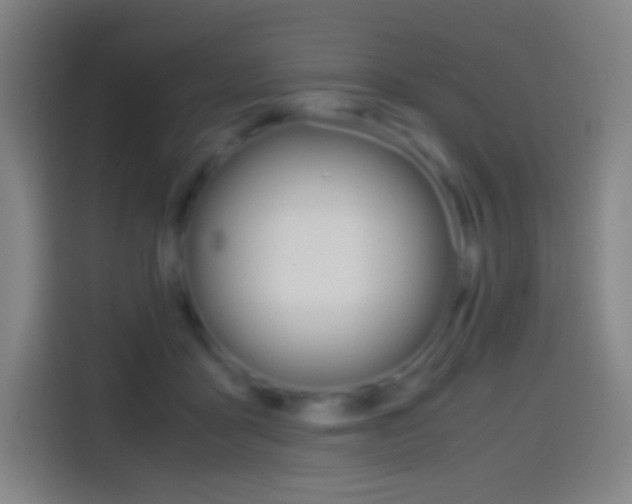 X0000114560411200910191015