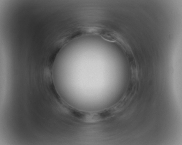 X0000114560415200910191015