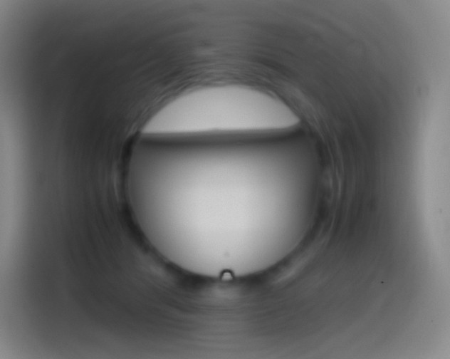 X0000114560416200910191015