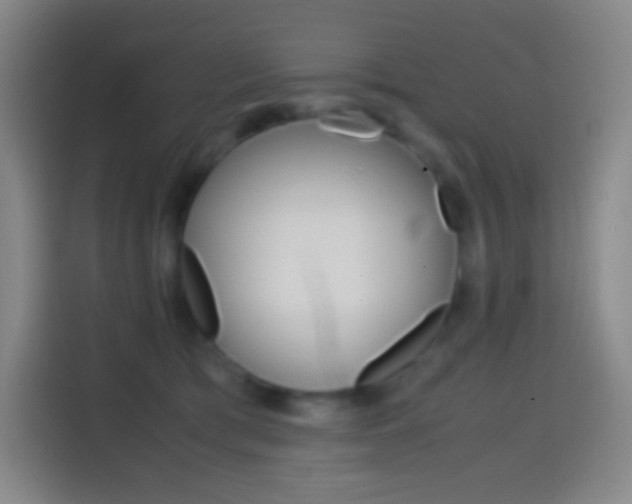 X0000114560417200910191015