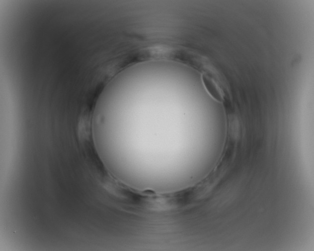 X0000114560419200910191015
