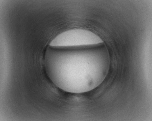 X0000114560420200910191015