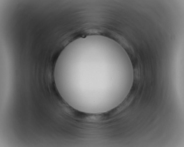 X0000114560422200910191015