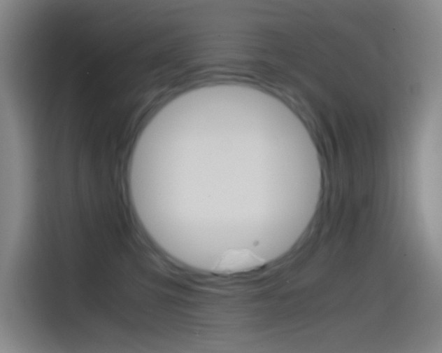 X0000114560423200910191015