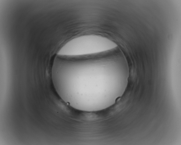 X0000114560424200910191015