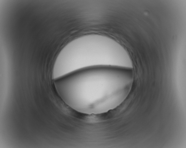 X0000114560425200910191015