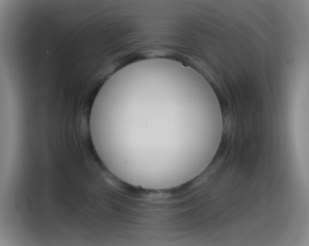 X0000114560426200910191015
