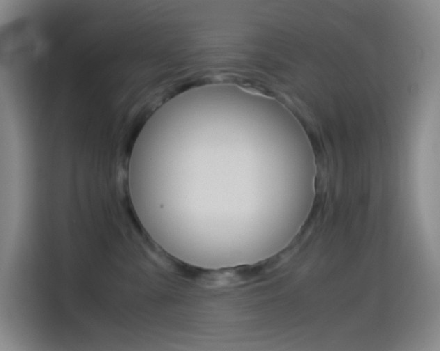 X0000114560427200910191015