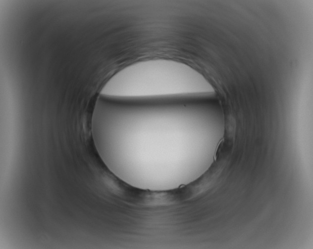 X0000114560428200910191015