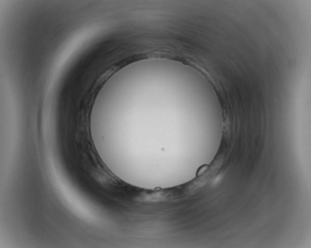 X0000114560430200910191015