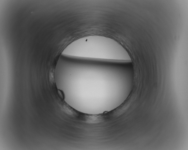 X0000114560432200910191015
