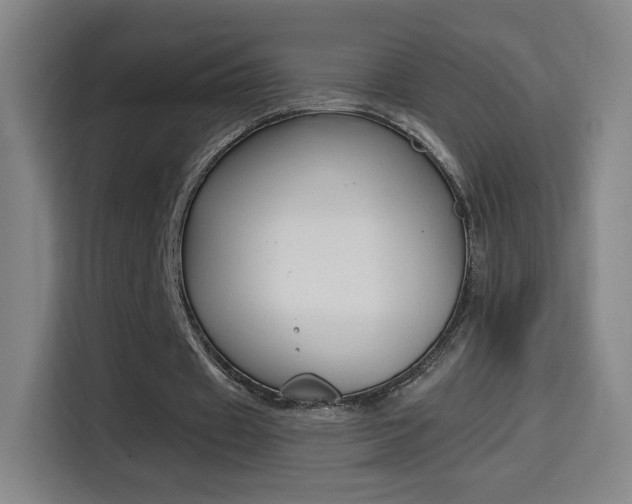 X0000114560433200910191014