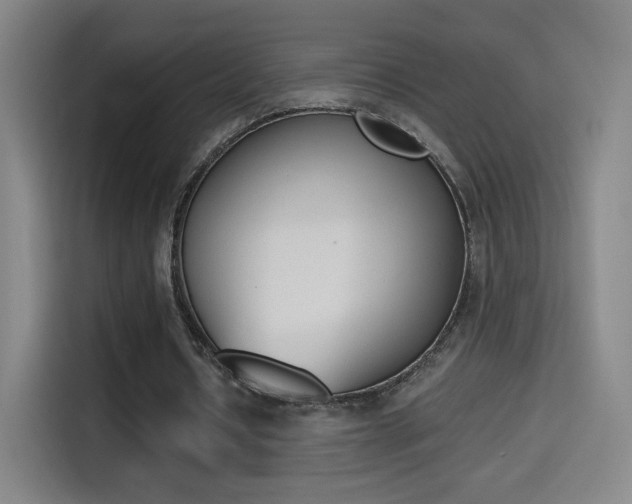 X0000114560434200910191014