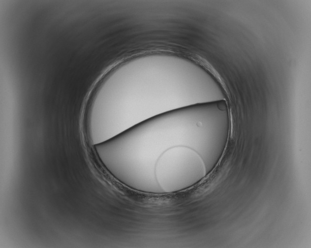 X0000114560435200910191014