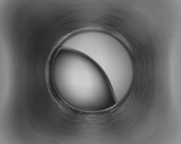 X0000114560436200910191014