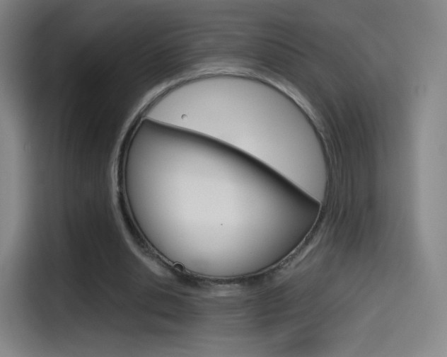 X0000114560438200910191014